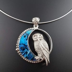Handmade Abalone Blue Moon Owl Pendant Sterling